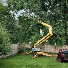 Best Tree Preservation Services  in Ravena, NY